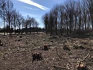 https://overijssel.sp.nl/nieuws/2018/03/sp-vraagt-om-opheldering-kaalslag-houtwallen-in-het-overijsselse-landschap
